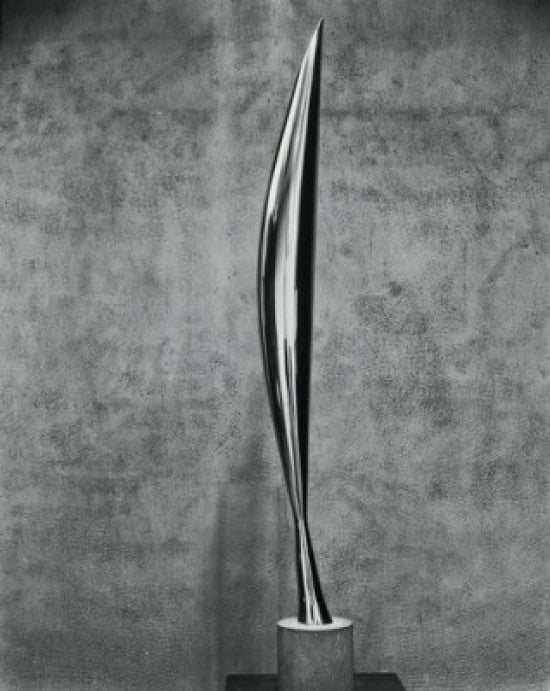 Bird In Space Fine Art Poster Print by Constantin Brancusi