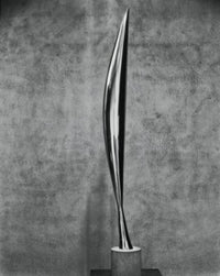 Bird In Space Fine Art Poster Print by Constantin Brancusi