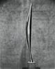 Bird In Space Fine Art Poster Print by Constantin Brancusi