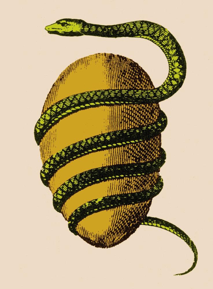 Cosmology: Orphic Egg - Source of the Universe Fine Art Print