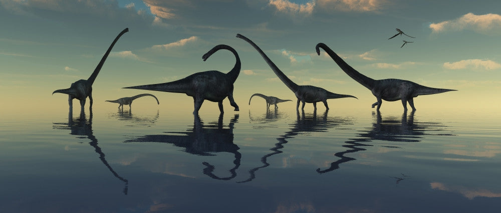 Giant Sauropod Dinosaurs Grazing by a Prehistoric Lake Fine Art Print