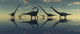 Giant Sauropod Dinosaurs Grazing by a Prehistoric Lake Fine Art Print