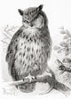The Eurasian Eagle-Owl Fine Art Print by Ken Welsh | Posterazzi