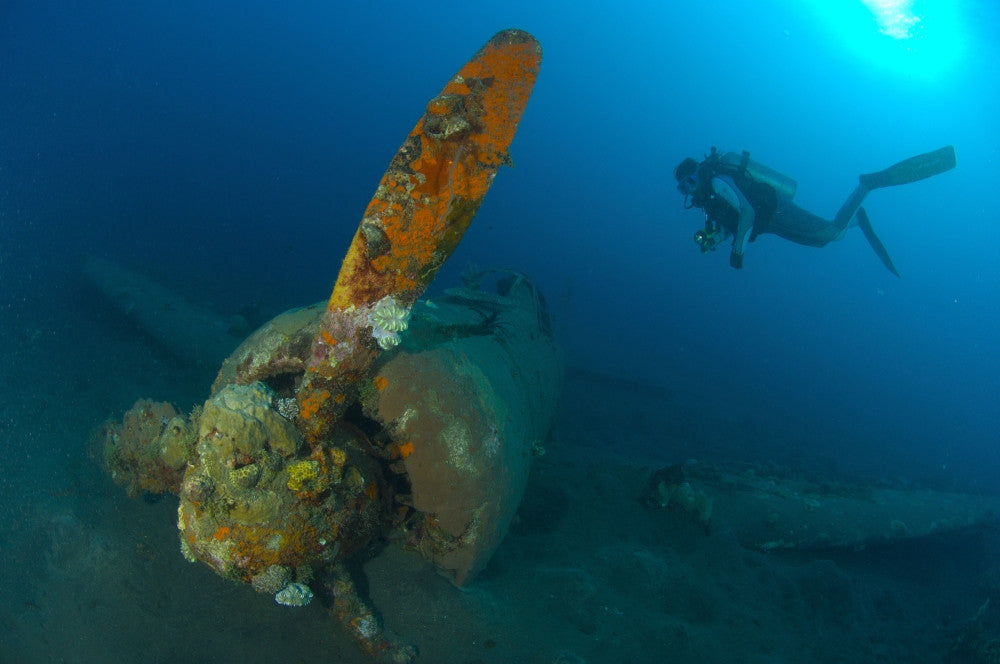 Diver Exploring Mitsubishi Zero Fighter Plane Wreck Poster Print