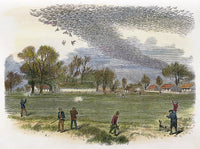 Pigeon Hunting Fine Art Print - Line Engraving C1875 by Granger Collection