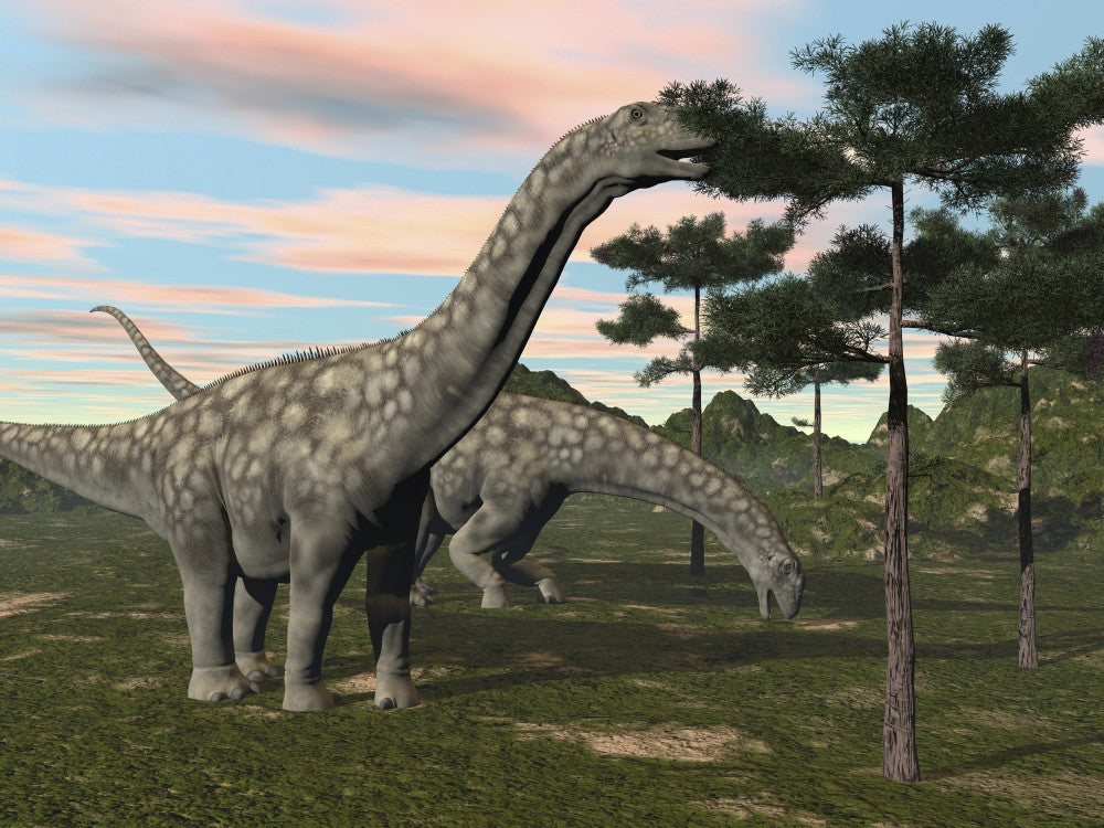 Argentinosaurus Dinosaur Grazing on Treetops Fine Art Print