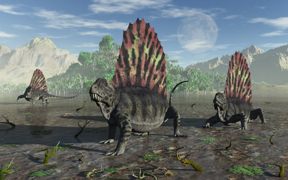 Dimetrodons in the Permian Period Fine Art Print
