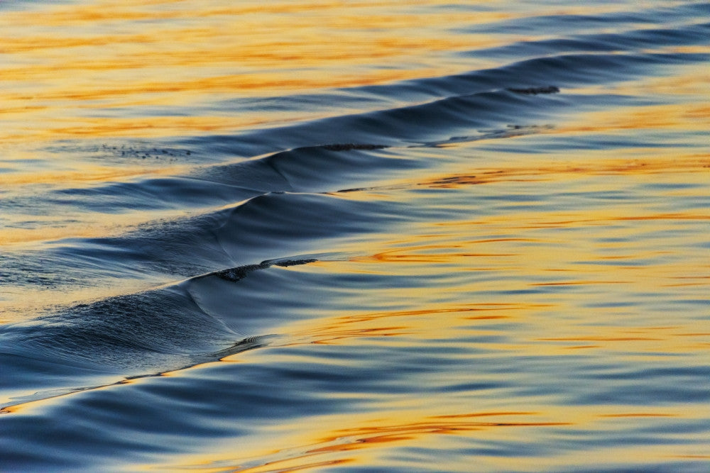Water Ripples at Chobe River in Botswana Fine Art Print by Keren Su
