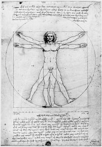 Vitruvian Man Fine Art Print by Leonardo da Vinci