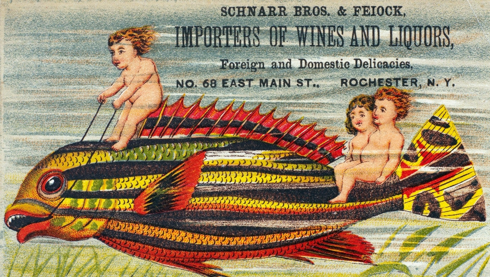 Liquor Trade Card Fine Art Print - C1890 Rochester Importers