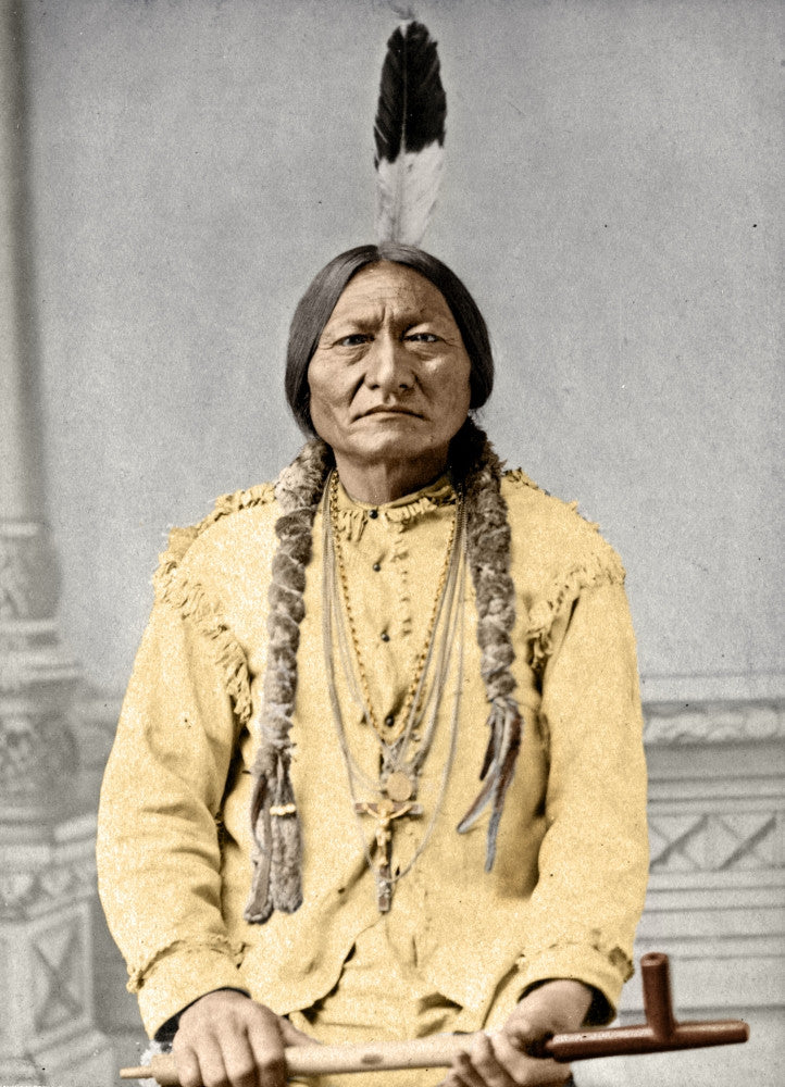 Sitting Bull Fine Art Print by David F. Barry - Sioux Leader (1885)