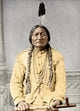 Sitting Bull Fine Art Print by David F. Barry - Sioux Leader (1885)