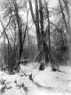 Hidatsa Tipi Fine Art Print by Edward S. Curtis