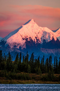 Mount Denali Fine Art Print from Wonder Lake, Denali National Park by Panoramic Images