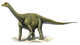 Titanosaurus Indicus Prehistoric Dinosaur Poster Print - 37x21 & 18x10