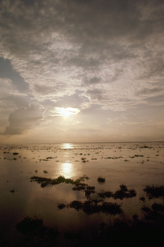 Congo River Sunset Fine Art Print by Granger Collection
