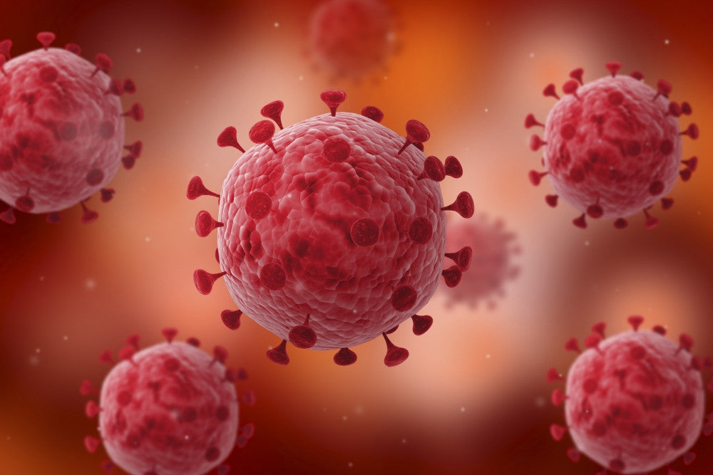 Microscopic View of Virus Fine Art Print