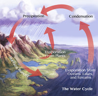 Earth's Water Cycle Fine Art Print | Poster by Science Source