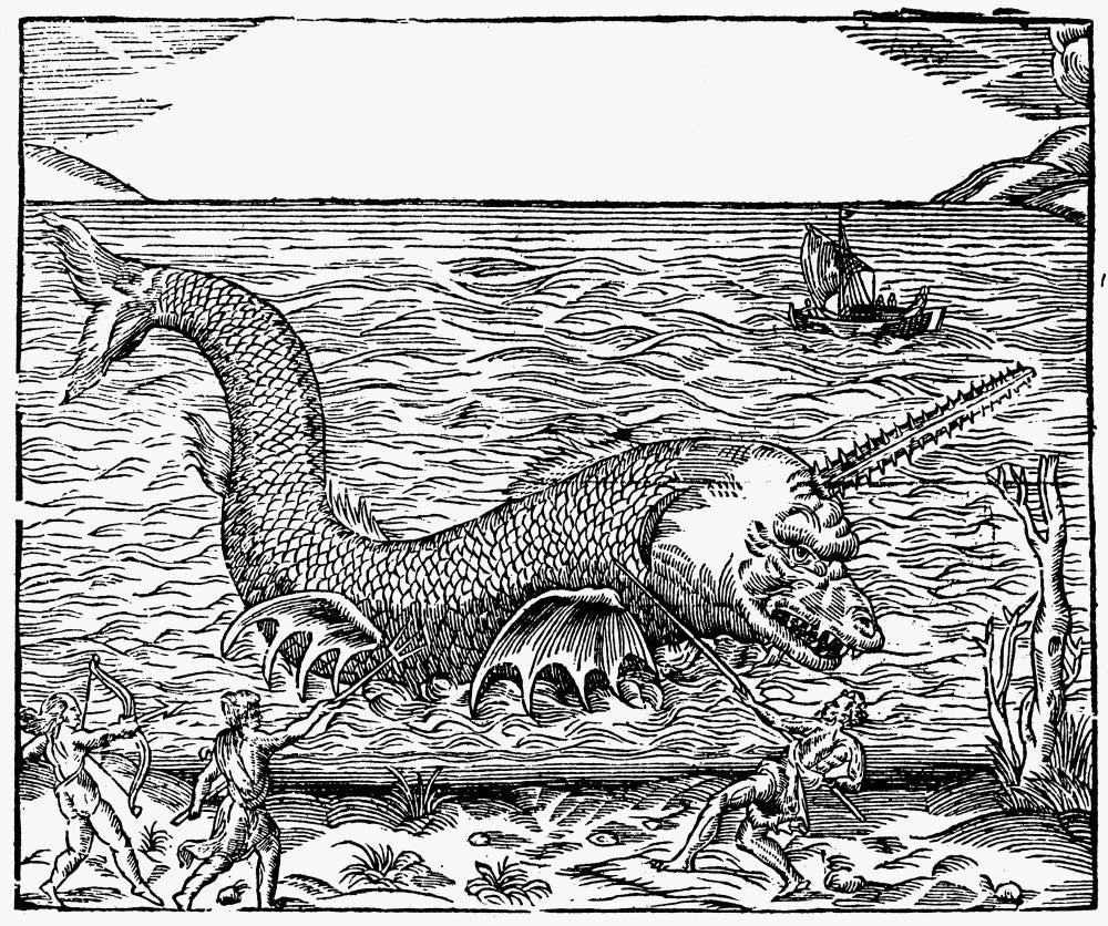 16th Century Sea Monster Woodcut Print by Granger Collection