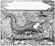 16th Century Sea Monster Woodcut Print by Granger Collection