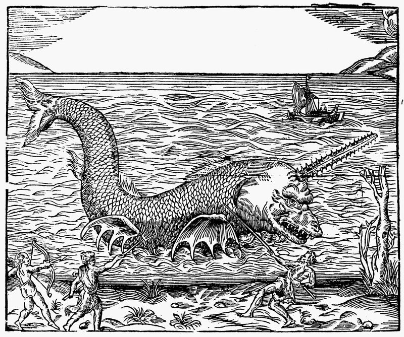 16th century sea monsters 16th Century Sea Monster Print by Granger Collection