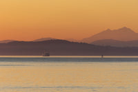 Ferry in Evening Light Fine Art Print by Trish Drury