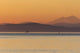 Ferry in Evening Light Fine Art Print by Trish Drury
