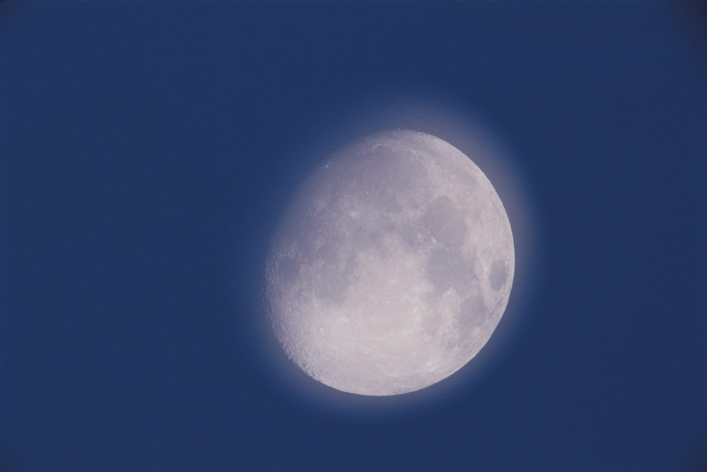 Moon, Waxing Gibbous Day 12 Fine Art Print by David Nunuk