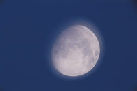 Moon, Waxing Gibbous Day 12 Fine Art Print by David Nunuk