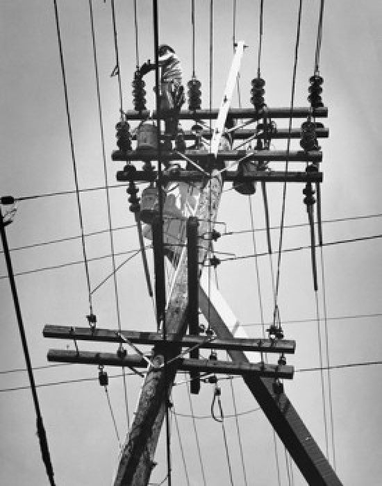 Low Angle View of a Lineman on a Telephone Pole Fine Art Print