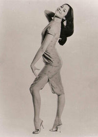 Nancy Kwan Posed in Dress Photo Print - Multiple Sizes Available