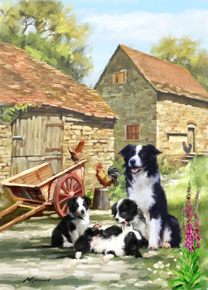 Farmyard Collies Fine Art Print by The Macneil Studio (18x24)