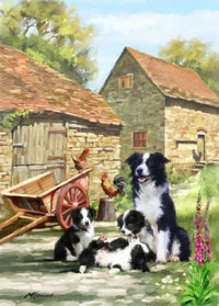 Farmyard Collies Fine Art Print by The Macneil Studio (18x24)
