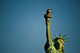 Statue of Liberty Fine Art Print by Panoramic Images
