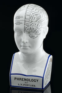 Fowler's Phrenological Head 19th Century Fine Art Print by Science Source