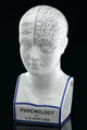 Fowler's Phrenological Head 19th Century Fine Art Print by Science Source