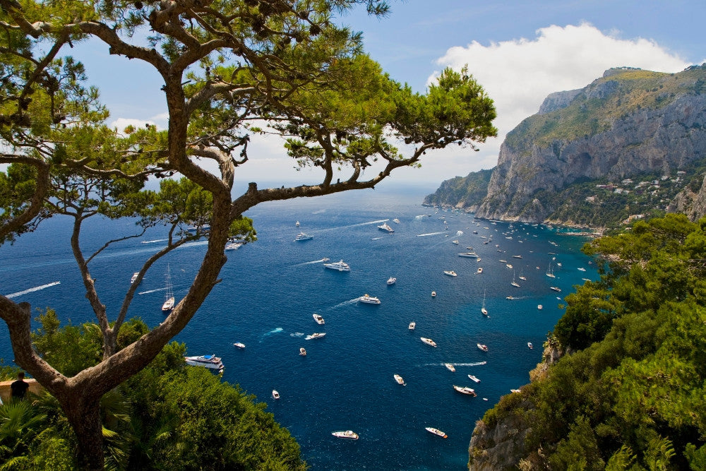 Stunning Aerial View of Capri Island Fine Art Print by Panoramic Images