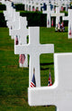 American Flags at Madingley American Cemetery Fine Art Print by Stocktrek Images