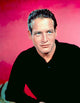 Paul Newman Classic 1950s Photo Print - Fine Art by Everett Collection