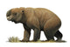 Diprotodon Optatum Fine Art Print - The Largest Marsupial