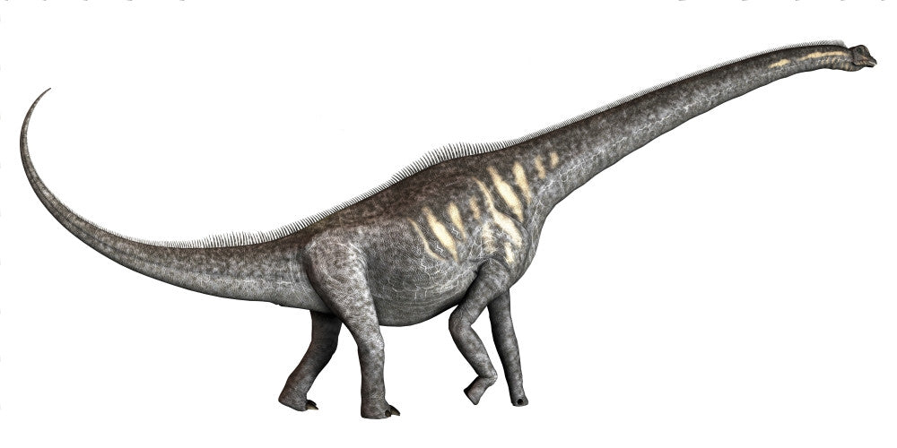 Sauroposeidon Cretaceous Period Dinosaur Poster Print