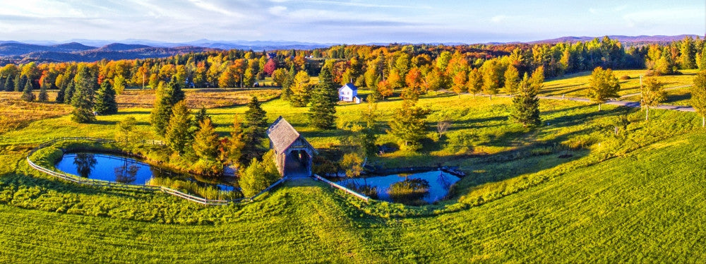 Foster Covered Bridge in Fall Fine Art Print by Panoramic Images