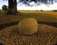 Celtic Latena Style Boulder Fine Art Print from 300 BC, Co Roscommon, Ireland by The Irish Image Collection