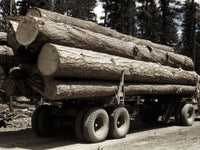 Oregon Lumber Truck Load Photograph by Russell Lee | Granger Collection