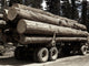Oregon Lumber Truck Load Photograph by Russell Lee | Granger Collection