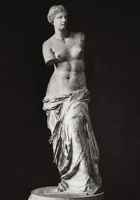 Venus de Milo Marble Fine Art Print - Greek Sculpture (130-120 BCE)