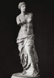 Venus de Milo Marble Fine Art Print - Greek Sculpture (130-120 BCE)