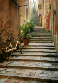 Italy Cinque Terre Bicycle and Stairway Fine Art Print by Jaynes Gallery