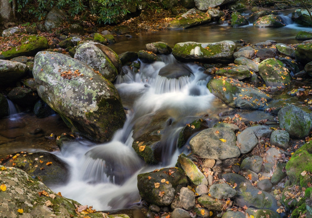 Stream Flowing Through Rocks - Roaring Fork Nature Trail Poster Print