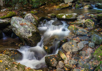 Stream Flowing Through Rocks - Roaring Fork Nature Trail Poster Print
